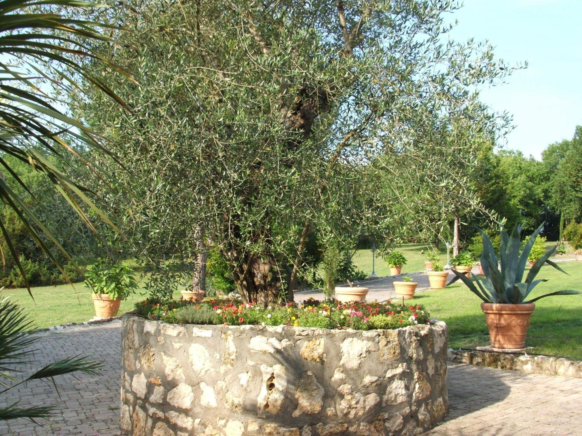 Hotel Il Pietreto Colle Val D'Elsa Exterior foto